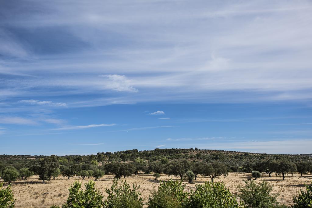 Herdade Dos Alfanges "The Barn" Viana do Alentejo Exterior foto